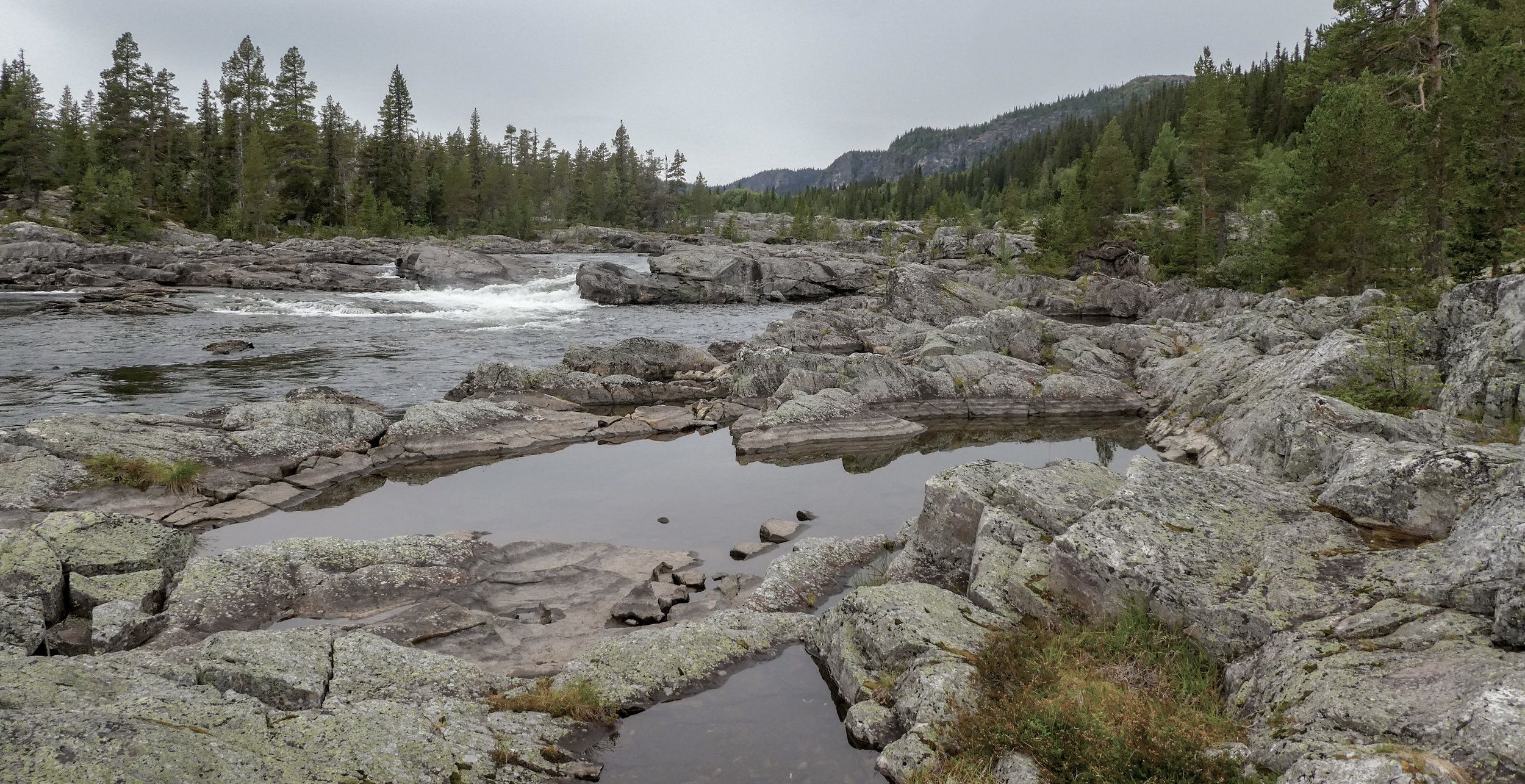 P1090136.jpg