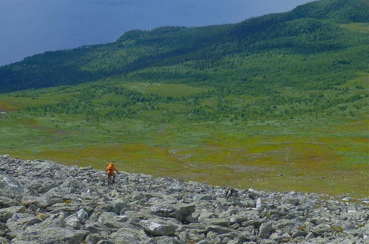 P1090679.jpg