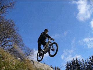 P10906862725.gif ht=240