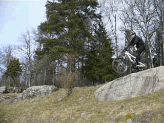 P10906883406.gif ht=240