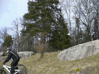 P10906883428.gif ht=240