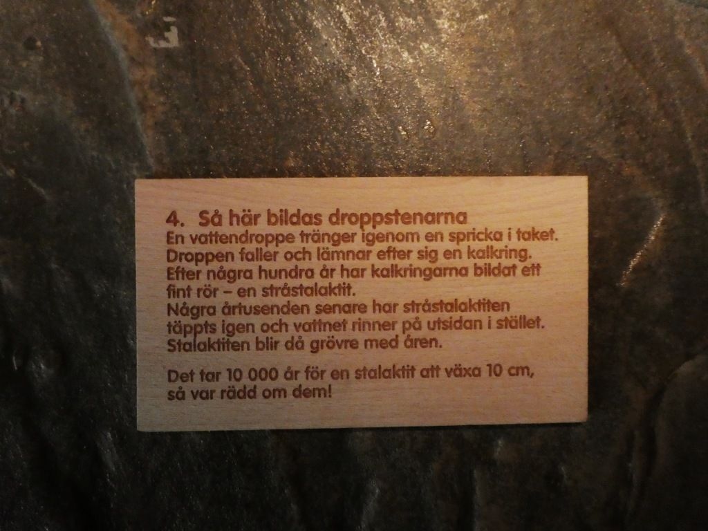 P1090759.jpg