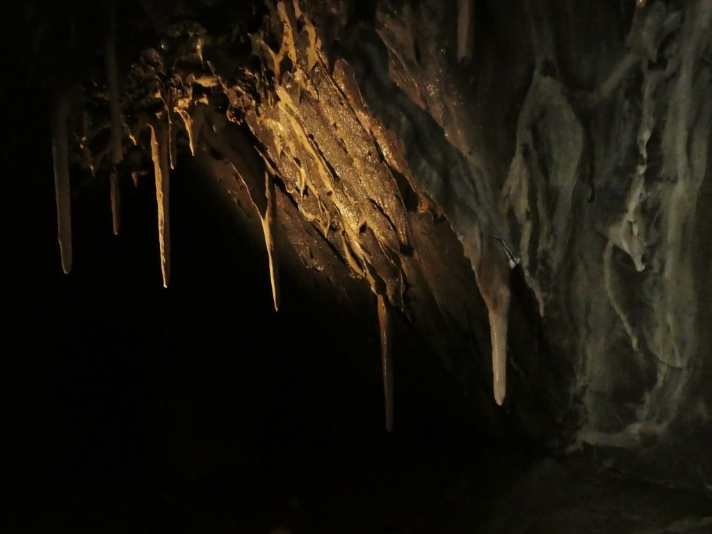 P1090760.jpg