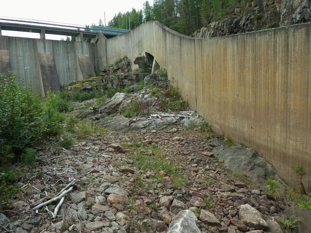 P10908291.jpg