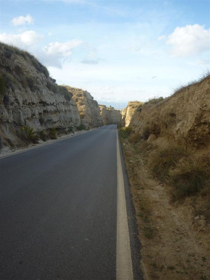 P1090890Large.JPG