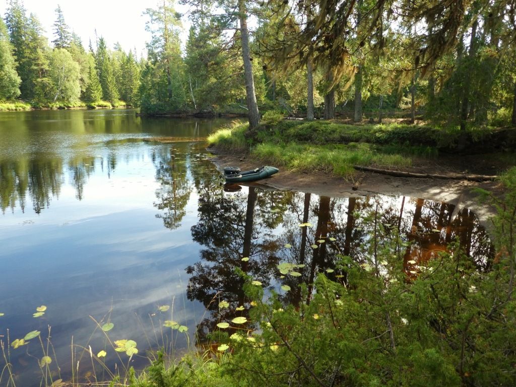 P1100231.jpg