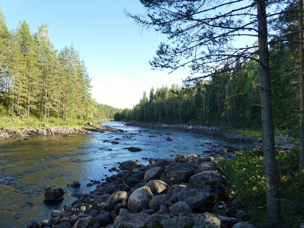 P1100335.jpg