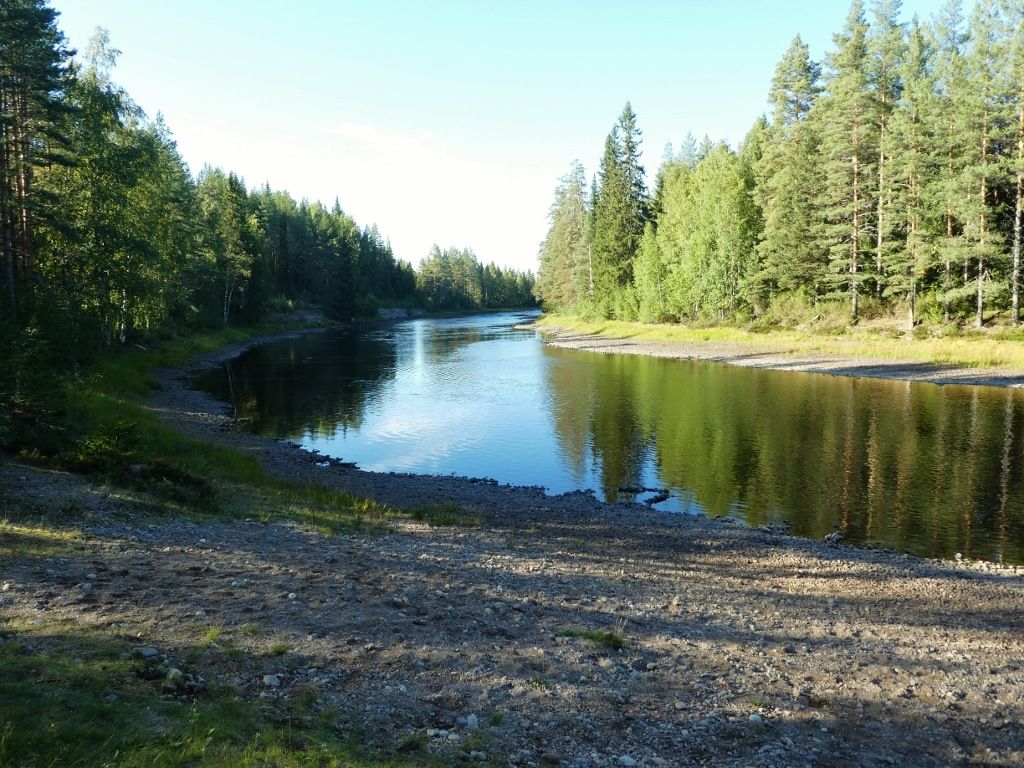 P1100345.jpg
