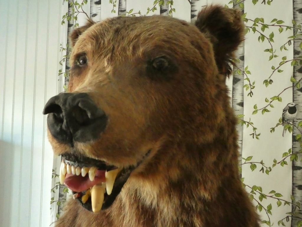 P11003622.jpg