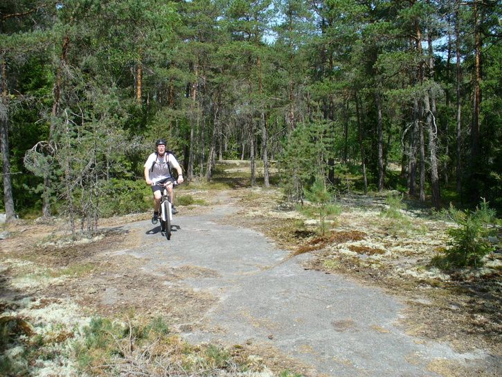 P1100374.JPG ht=544