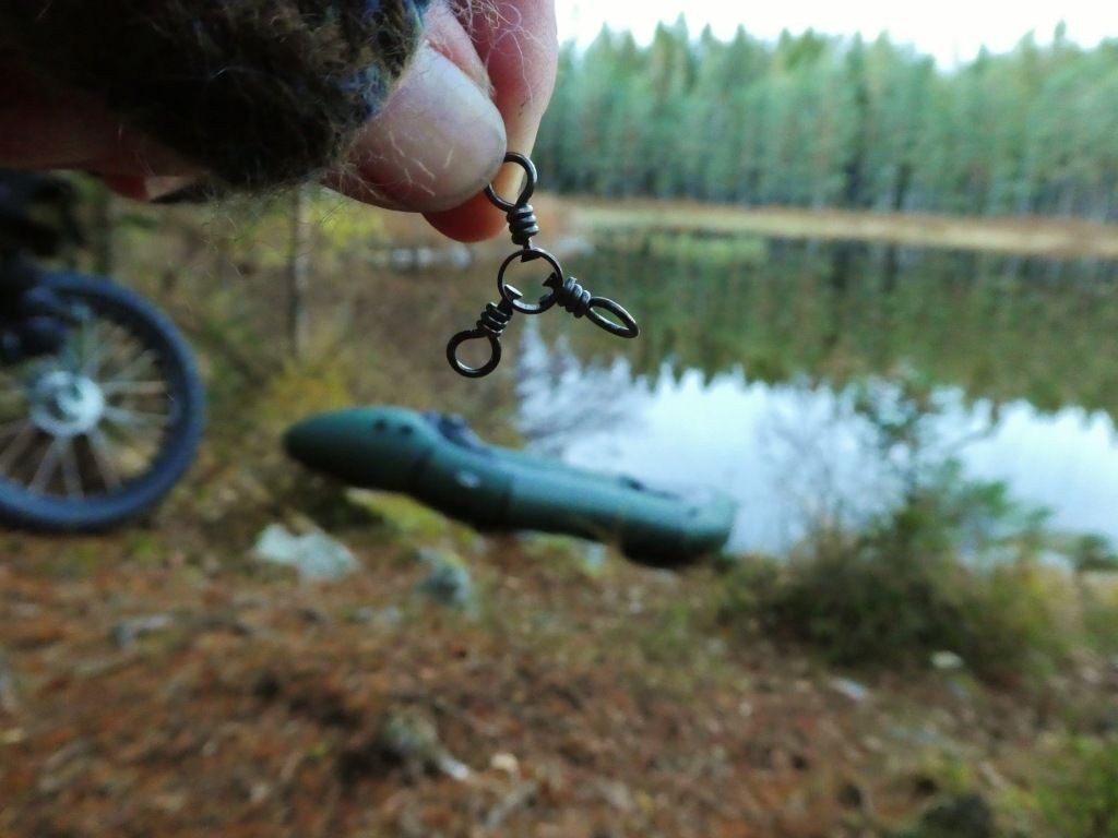 P1100732.jpg