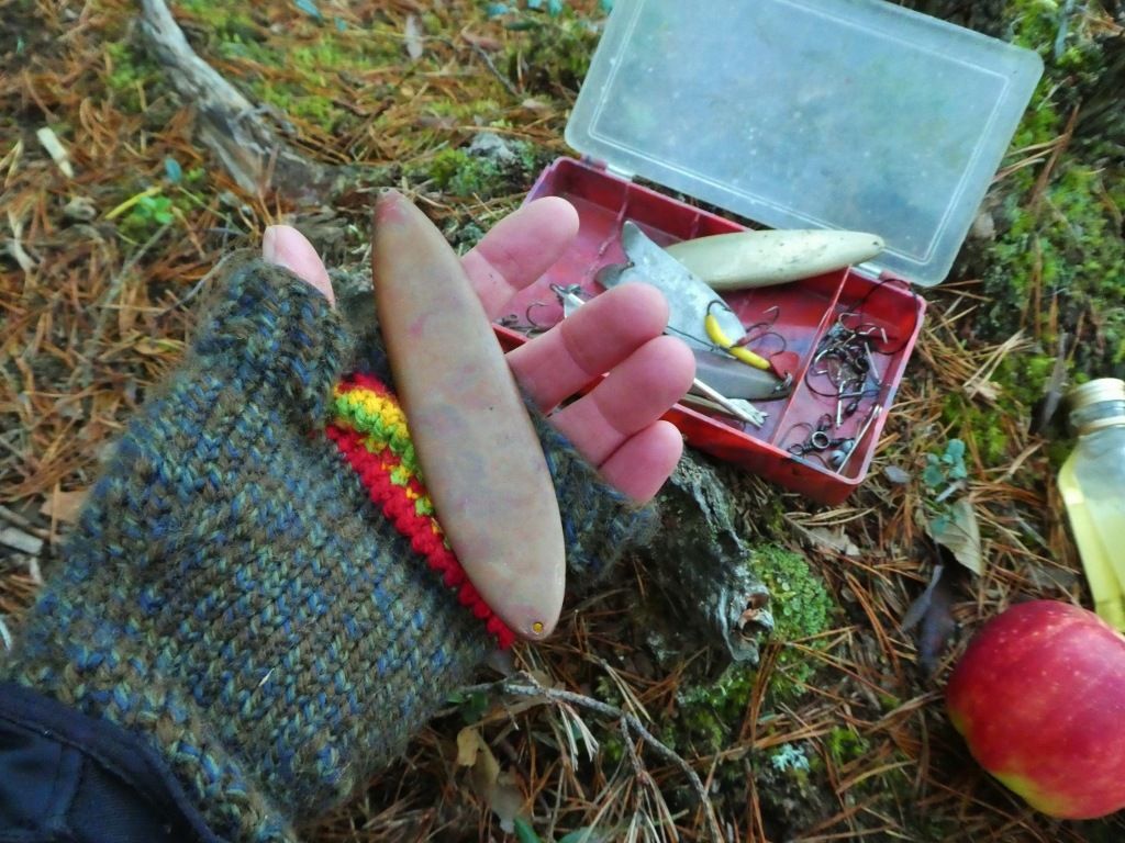 P1100733.jpg