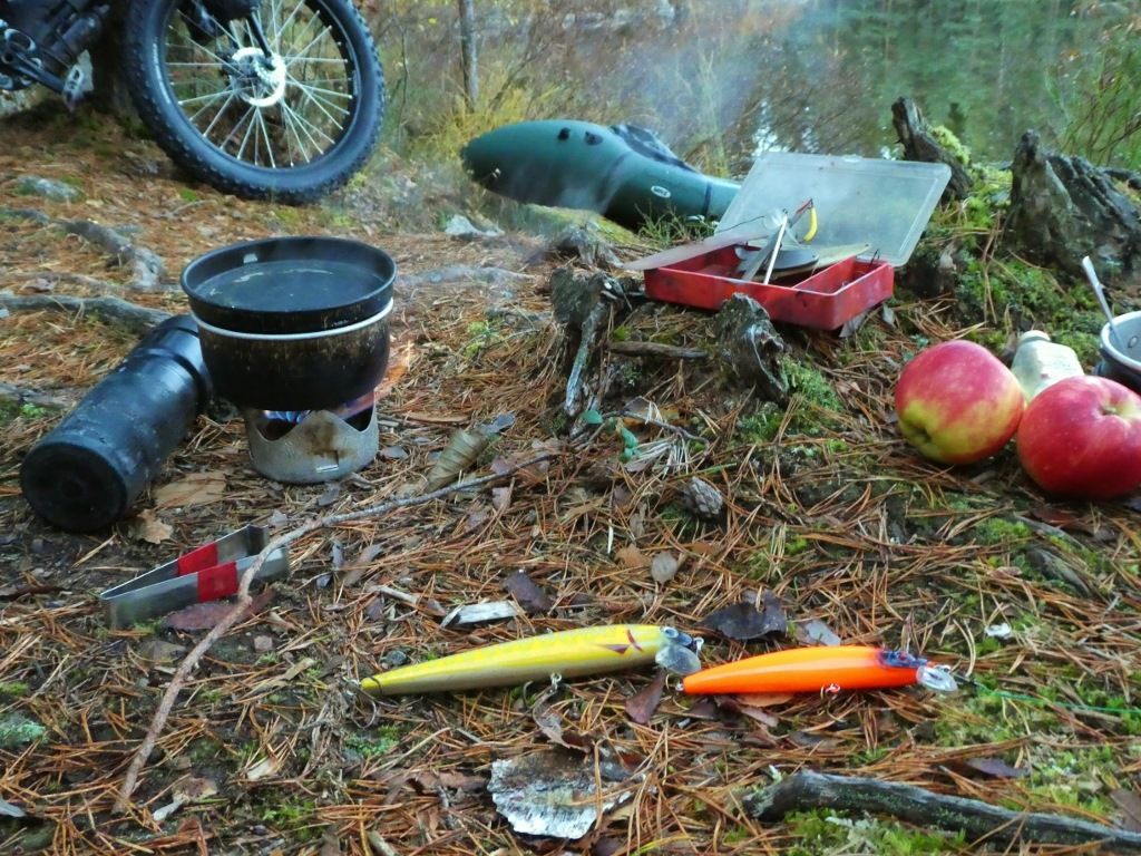 P1100737.jpg