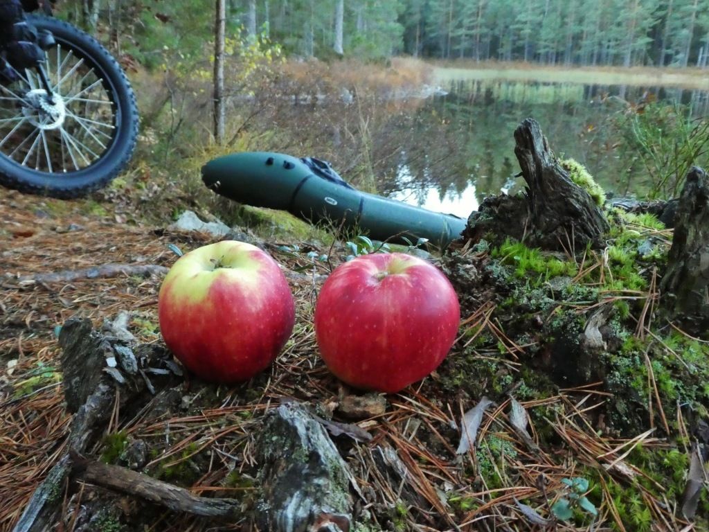 P1100740.jpg