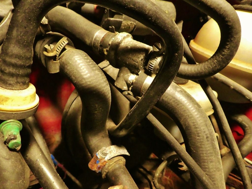 P1100742n1024x768.jpg