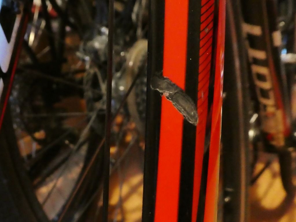 P11008051024x768.jpg