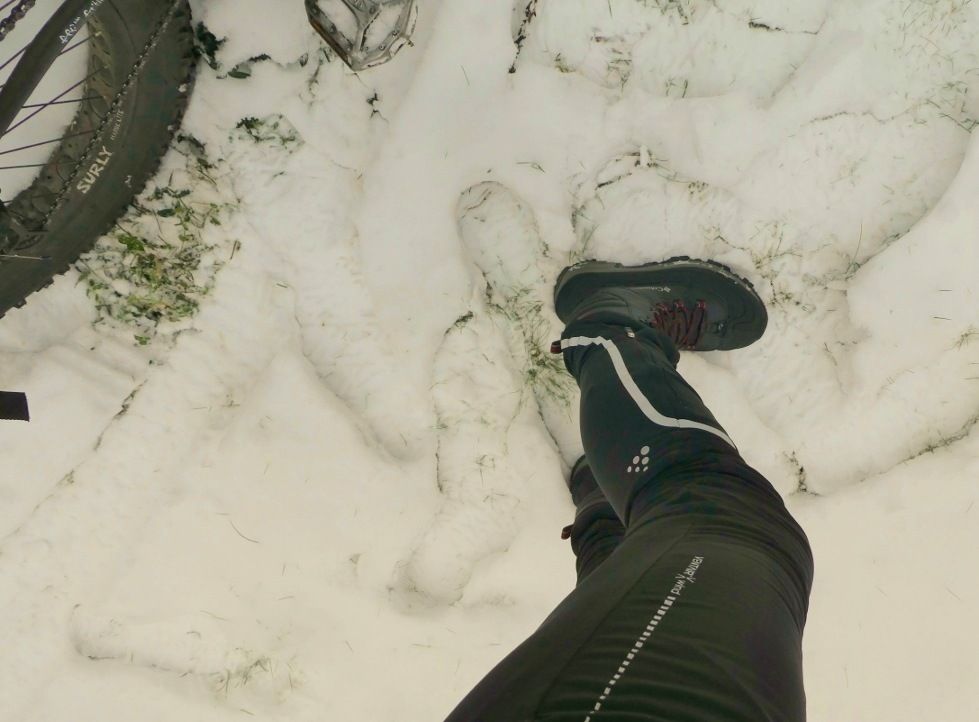 P1100829.jpg