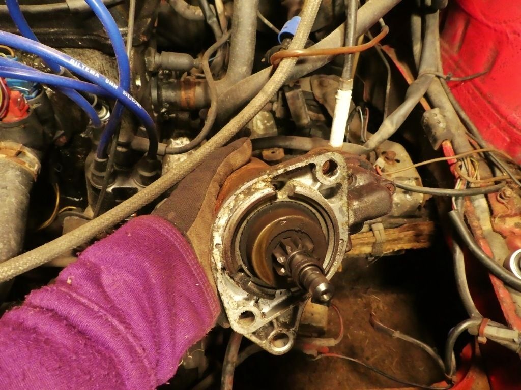 P11008911024x768.jpg