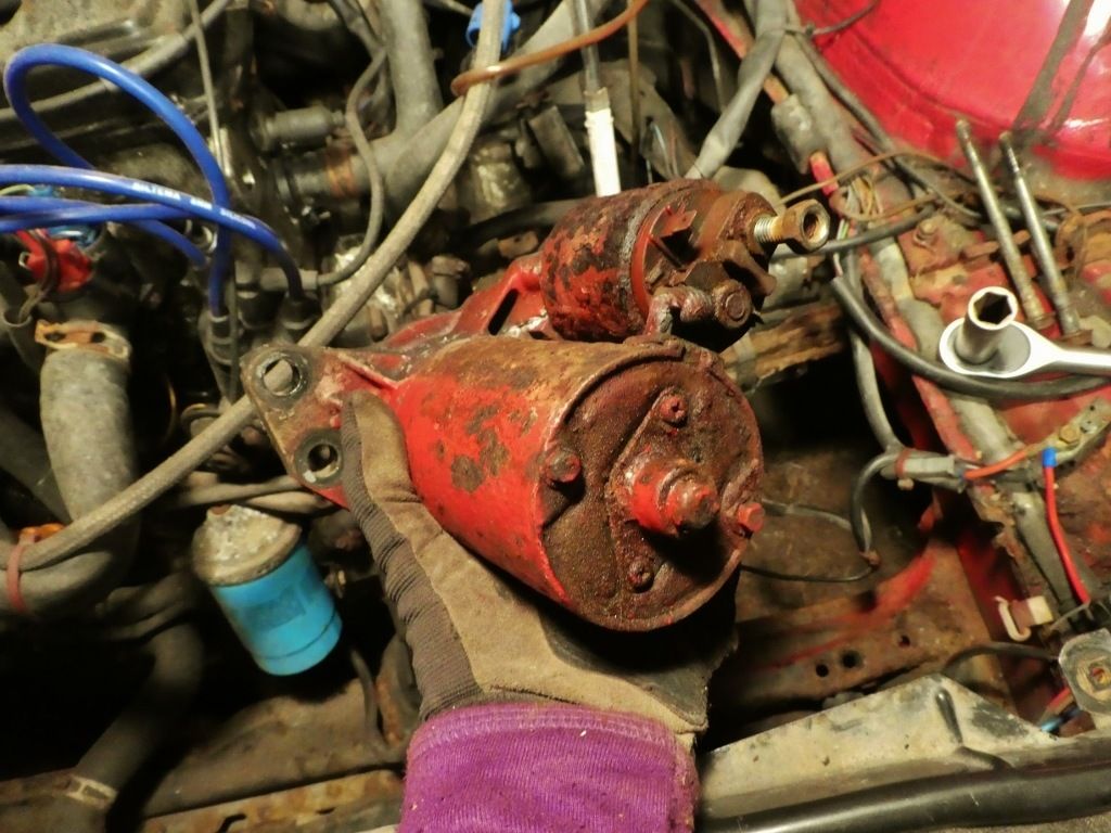 P11008941024x768.jpg