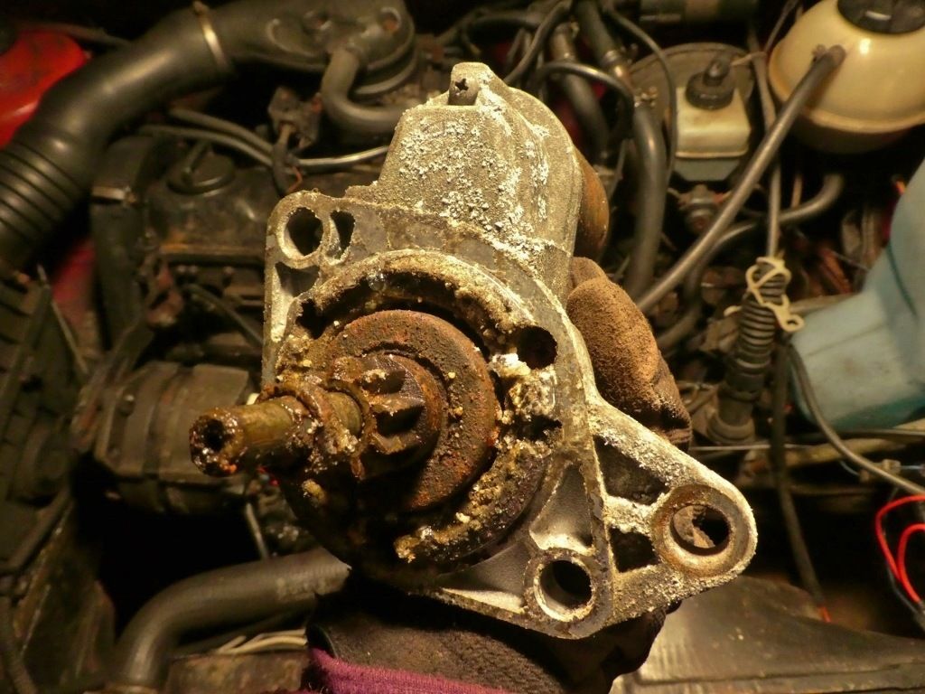 P11100121024x768.jpg