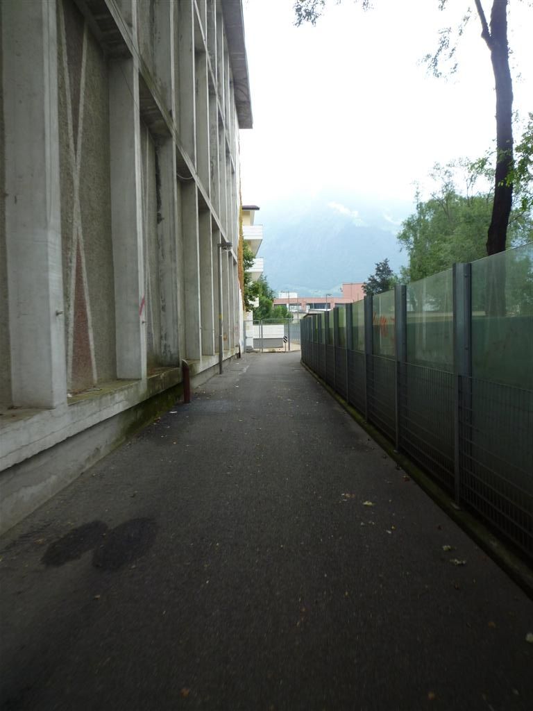 P1110256Large.JPG