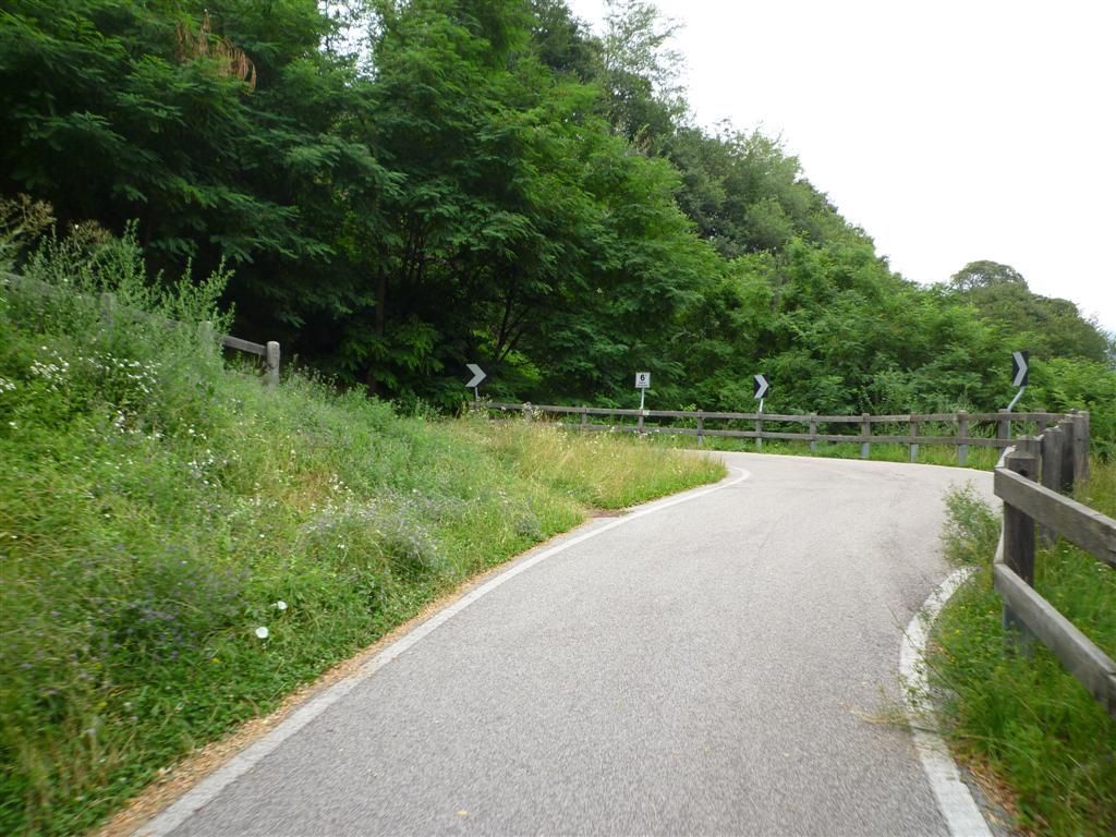 P1110258Large.JPG