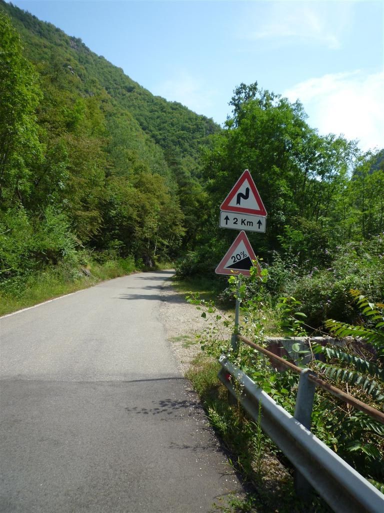 P1110496Large.JPG