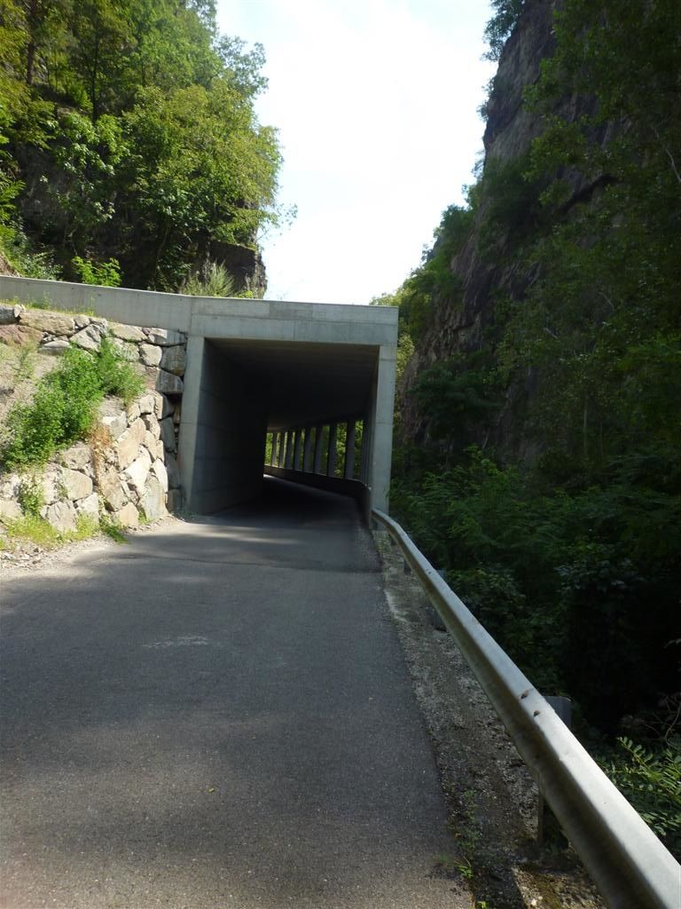 P1110498Large.JPG