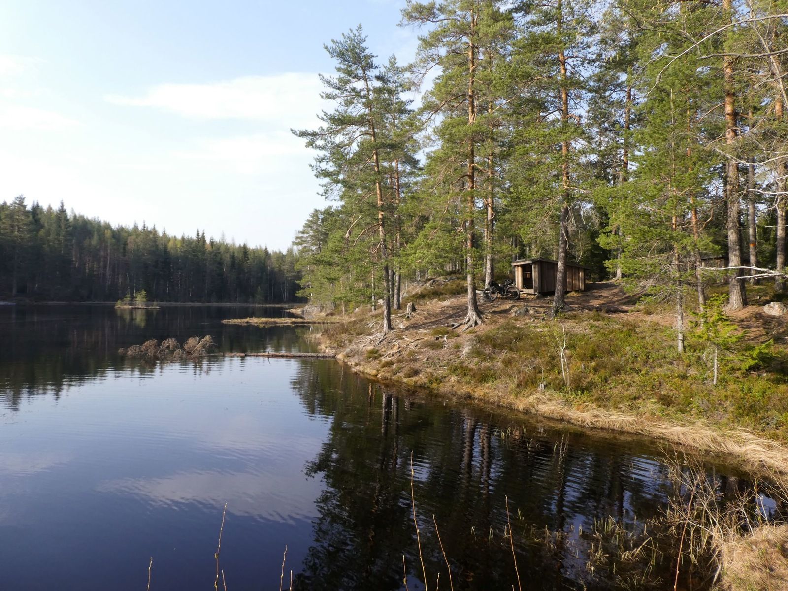 P1120308.jpg