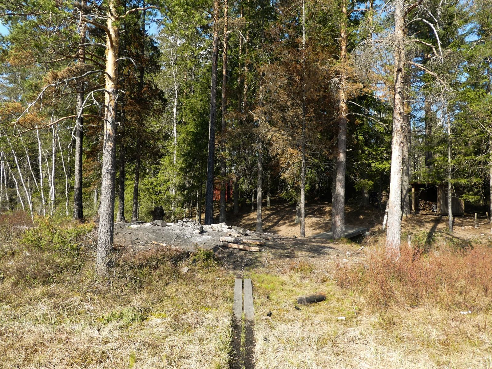 P1120335.jpg