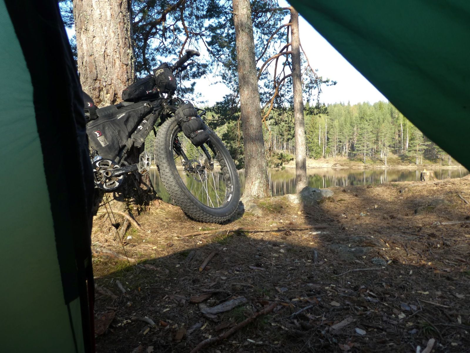 P1120338.jpg