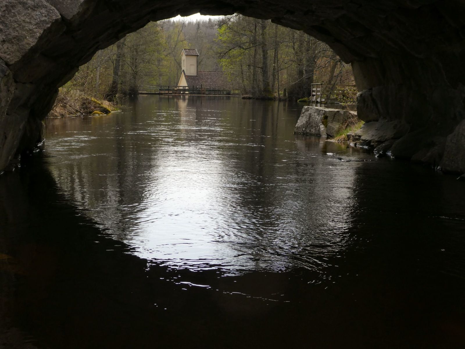 P1120416.jpg