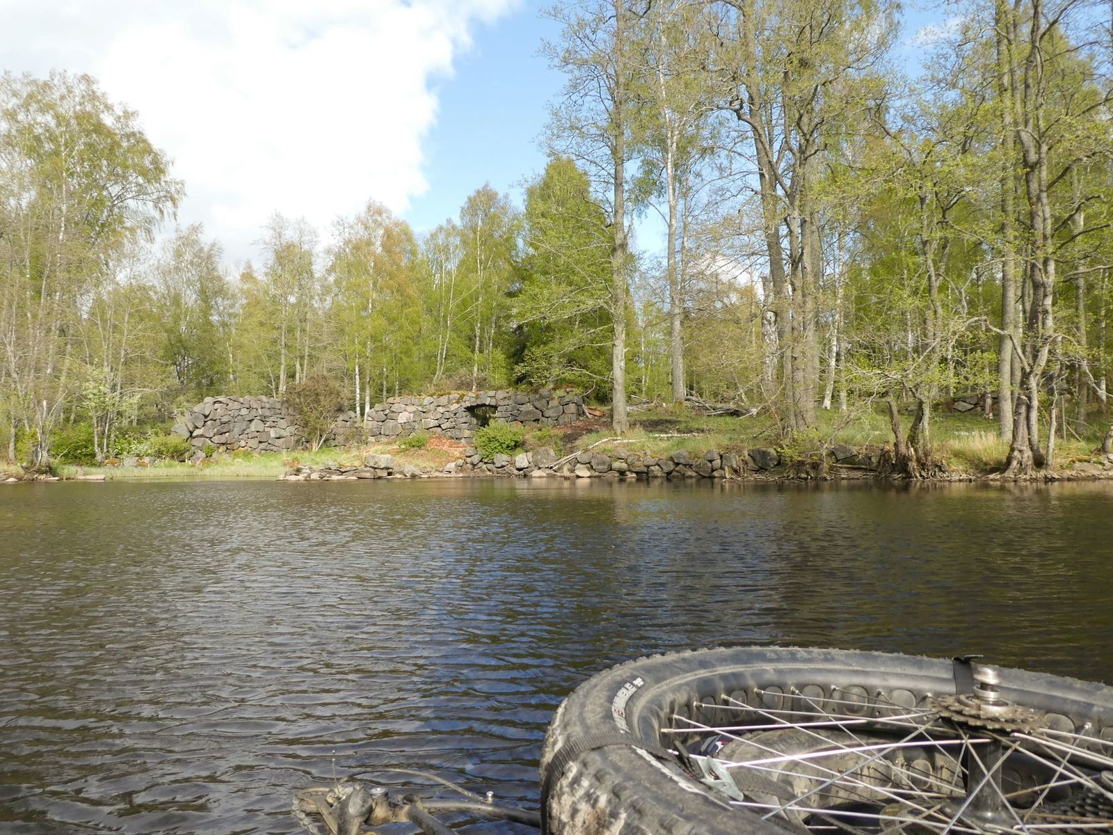 P1130038.jpg