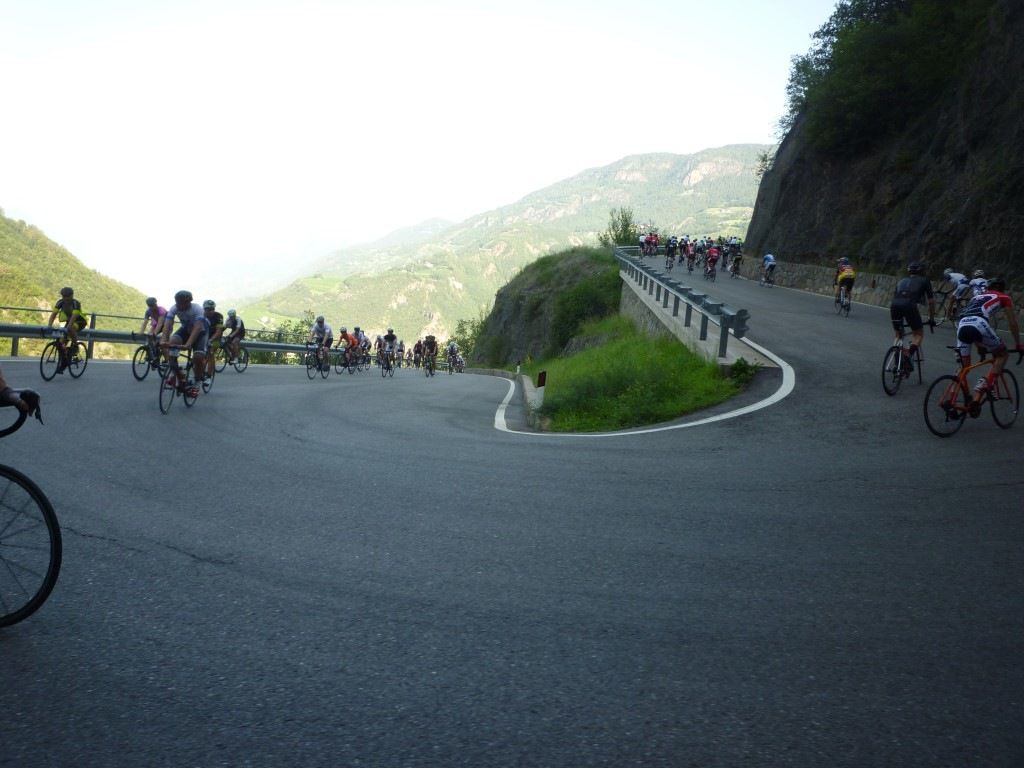 P1130590Medium.JPG