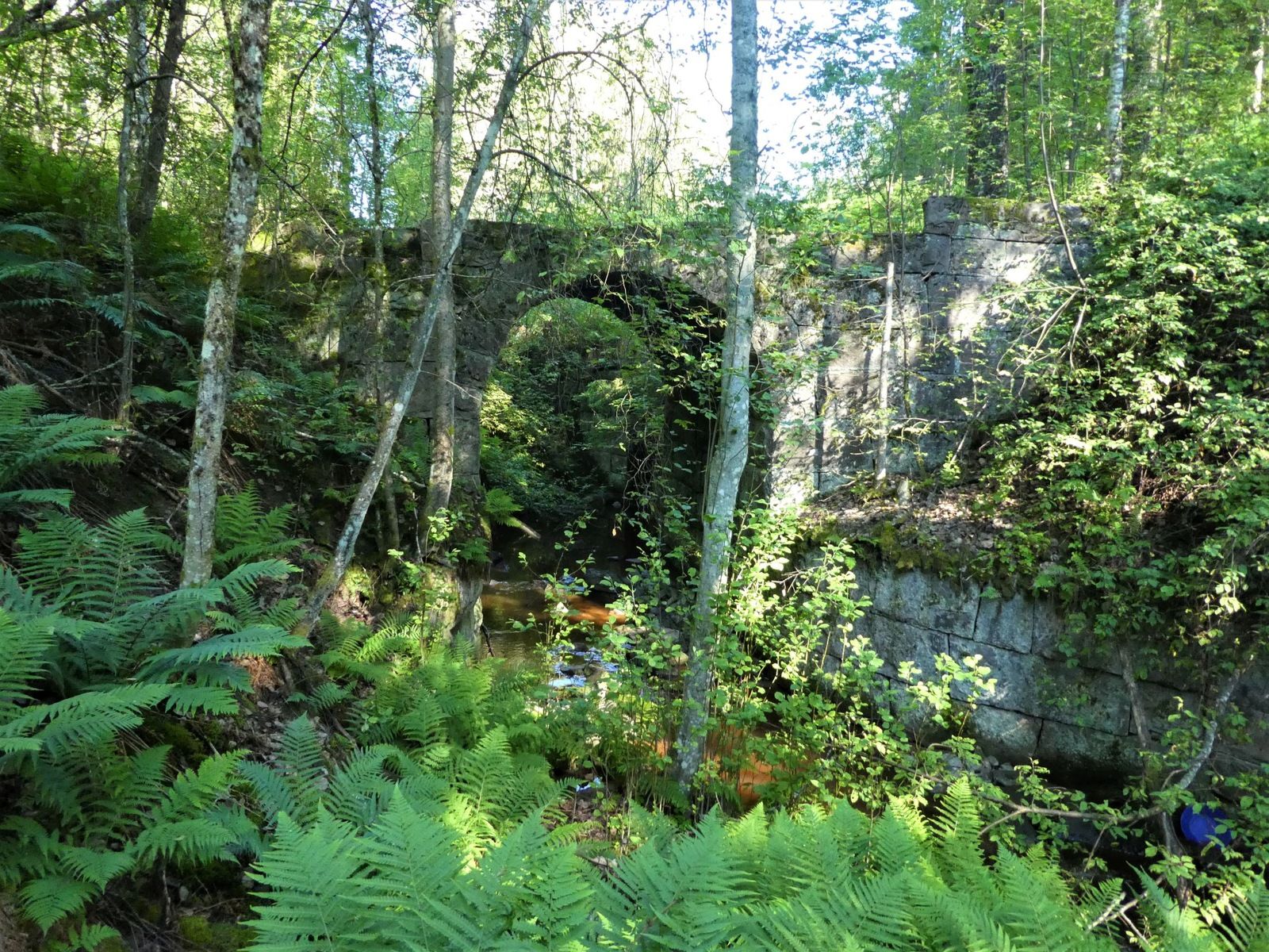 P1130631.JPG