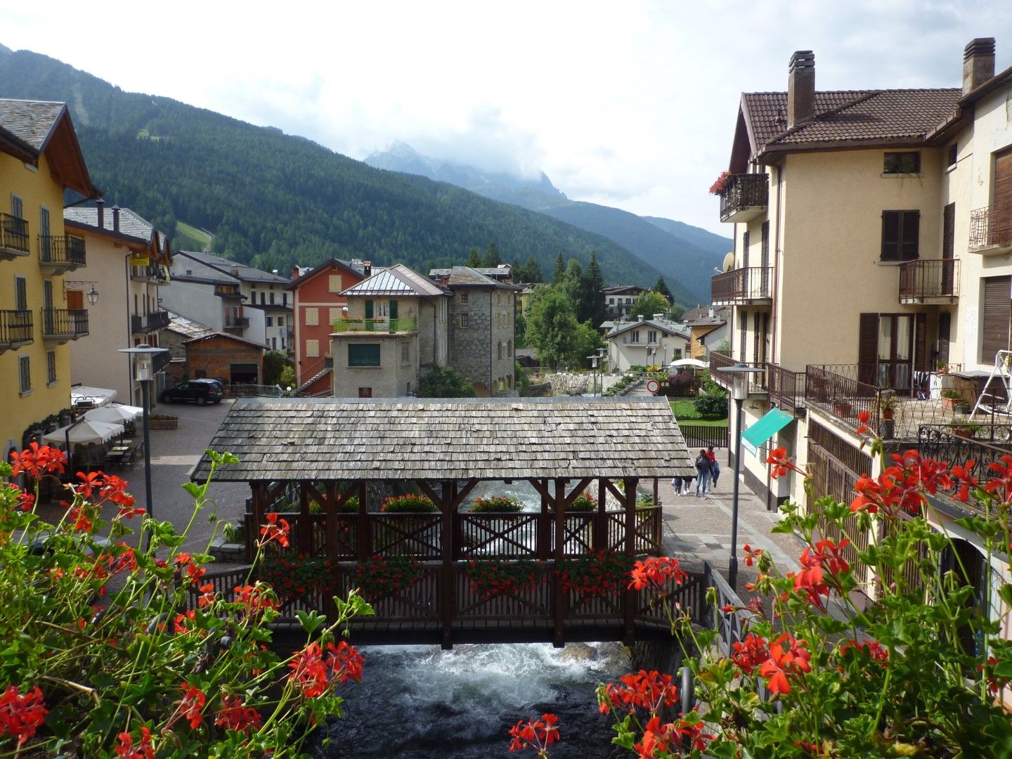 P1130956 (Large).JPG