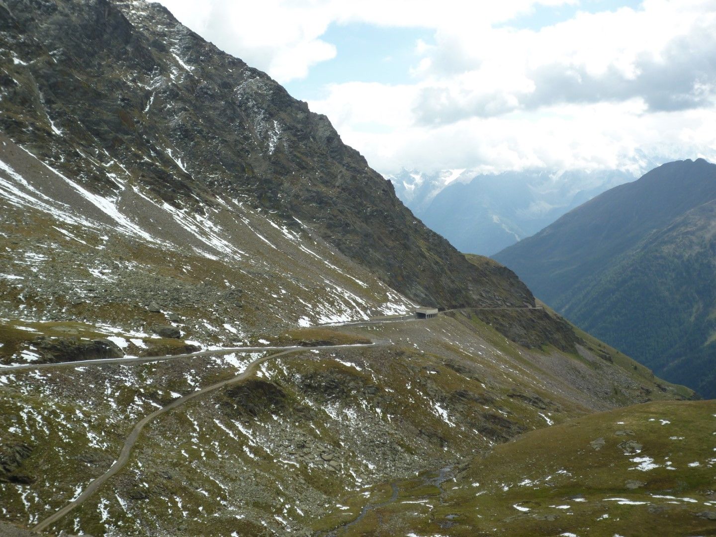 P1140009 (Large).jpeg