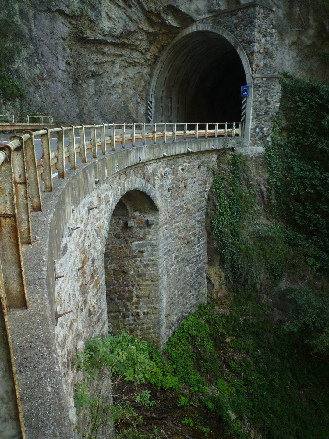 P1140214 (Large).JPG