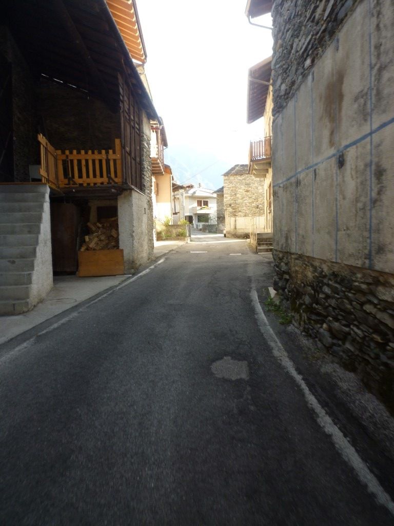 P1140259Medium.JPG