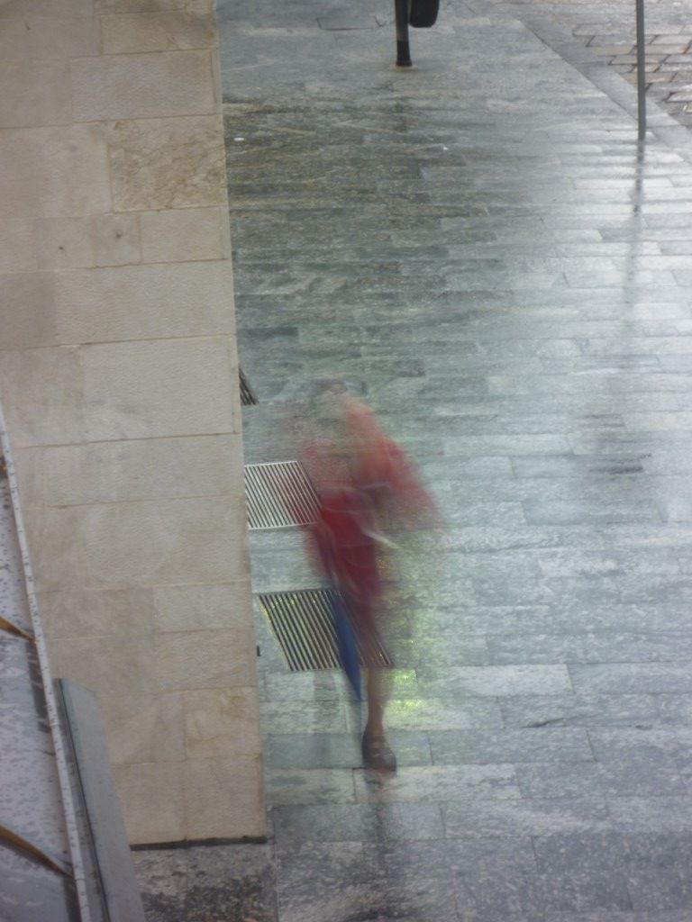 P1140528Medium.JPG