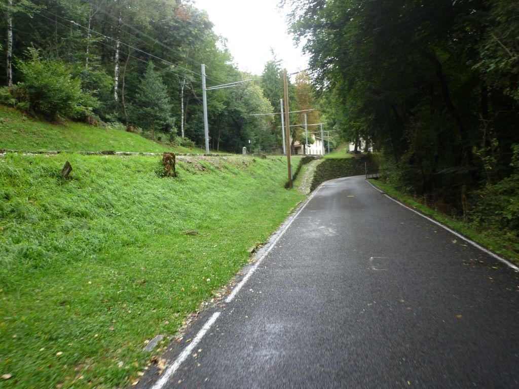 P1140556Medium.JPG