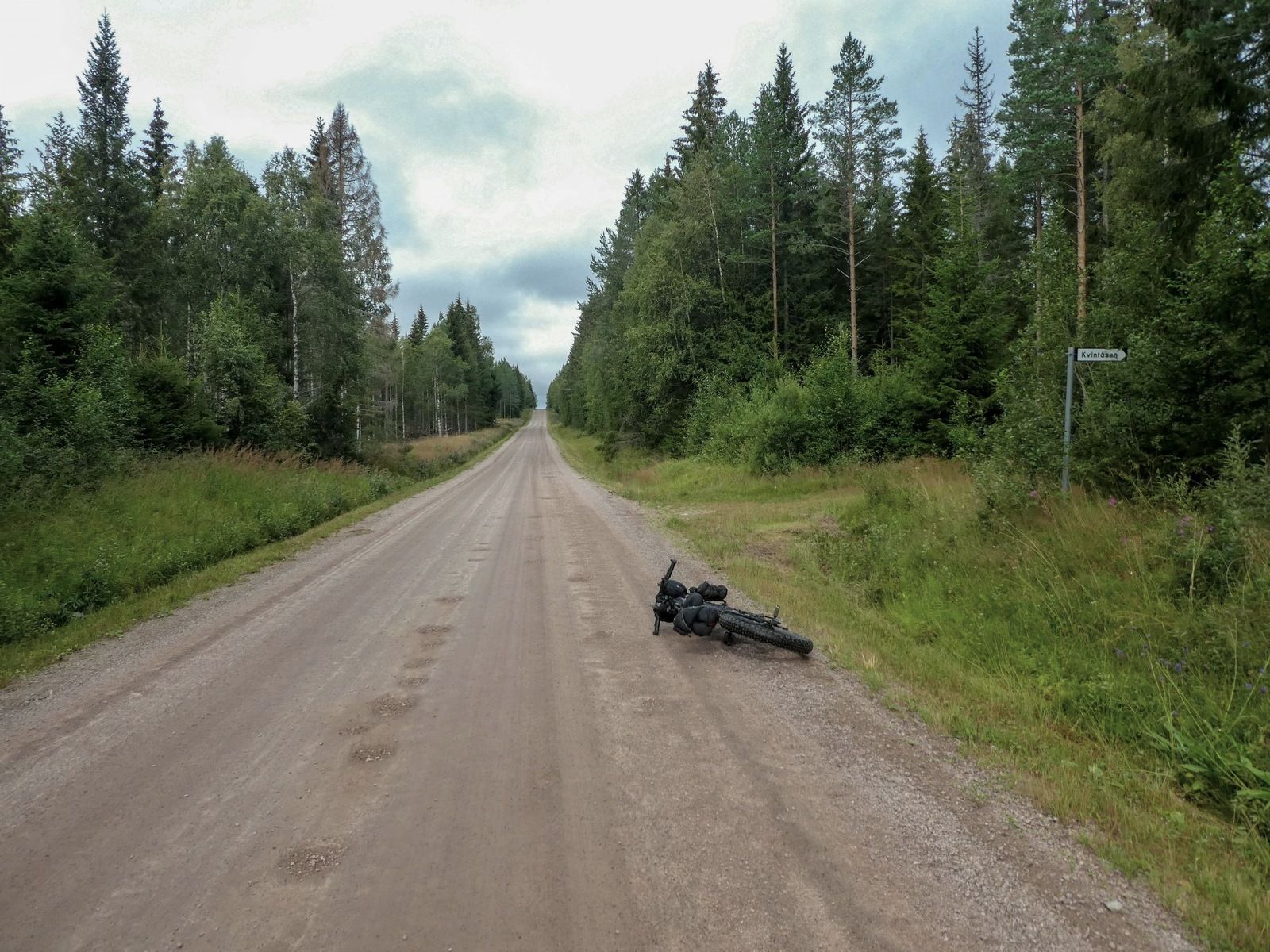 P1140629.jpg