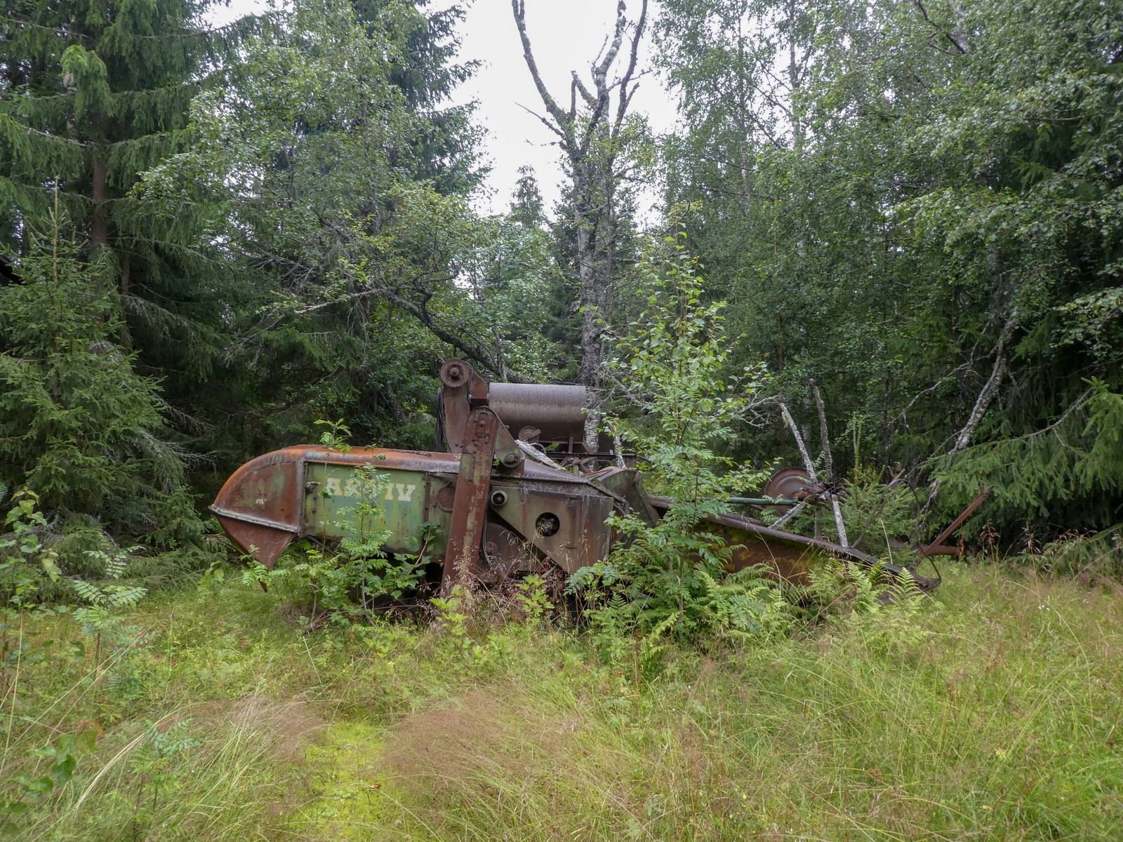 P1140652.jpg