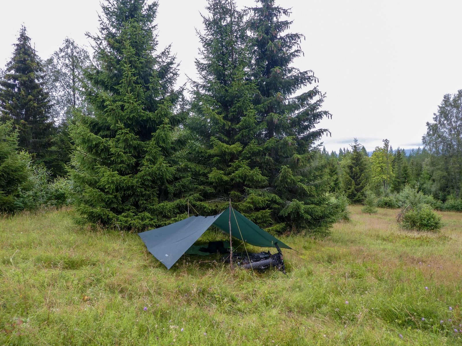P1140680.jpg
