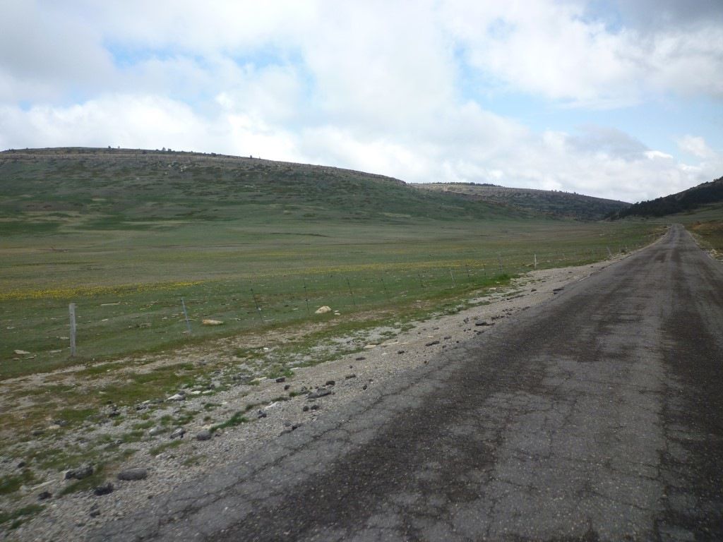 P1150225Medium.jpeg
