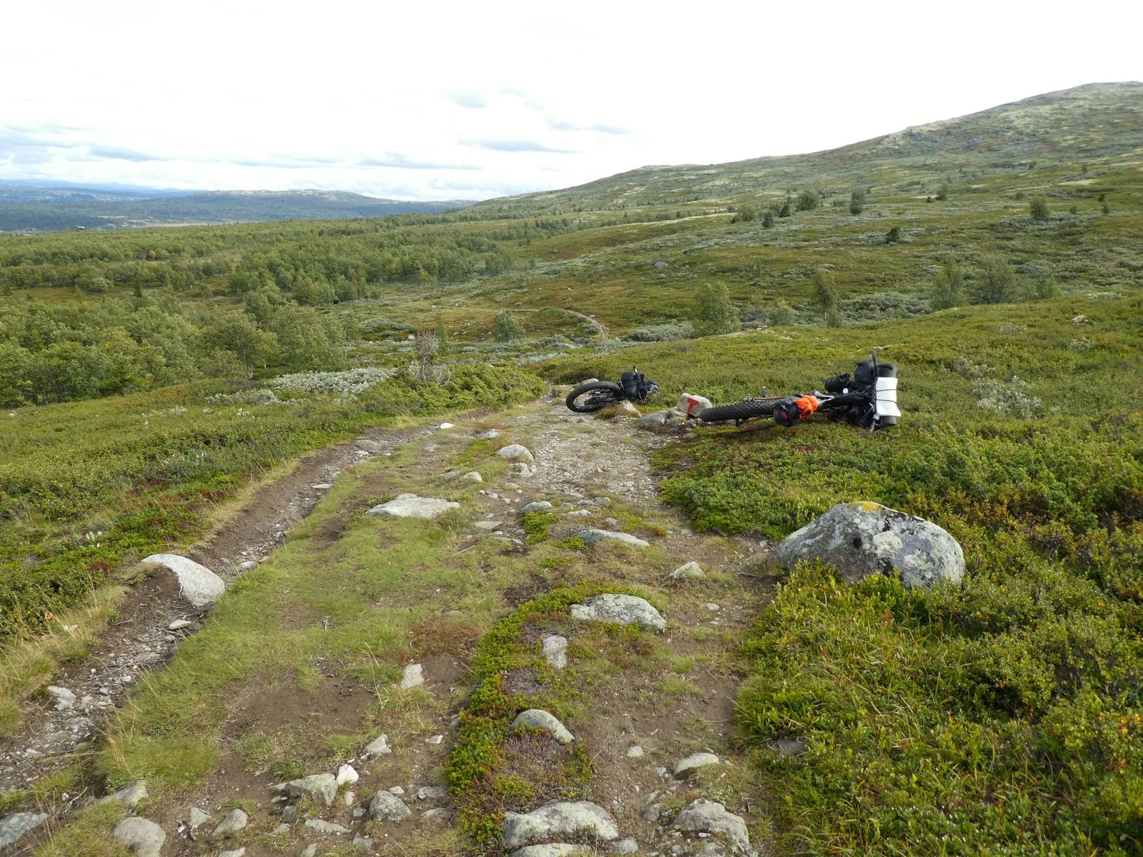 P1150791.jpg