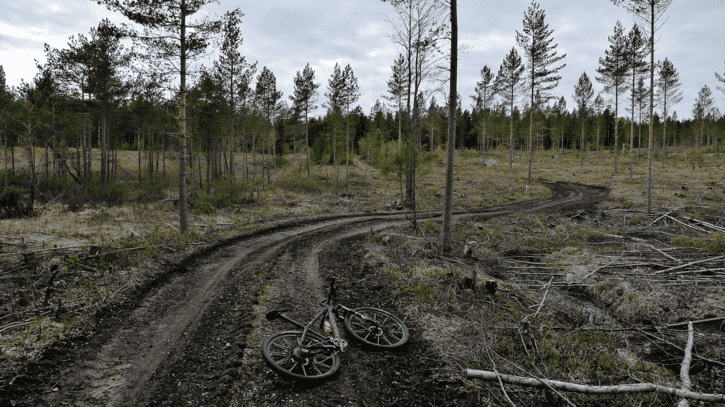 P1160141.png