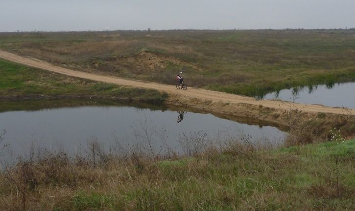 P1160153800x477.jpg