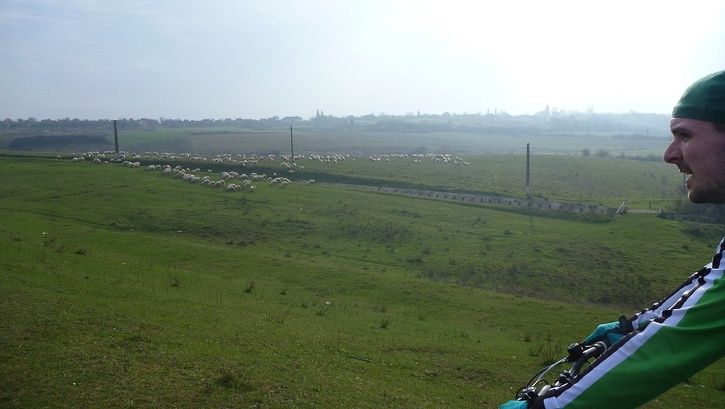 P1160249.JPG