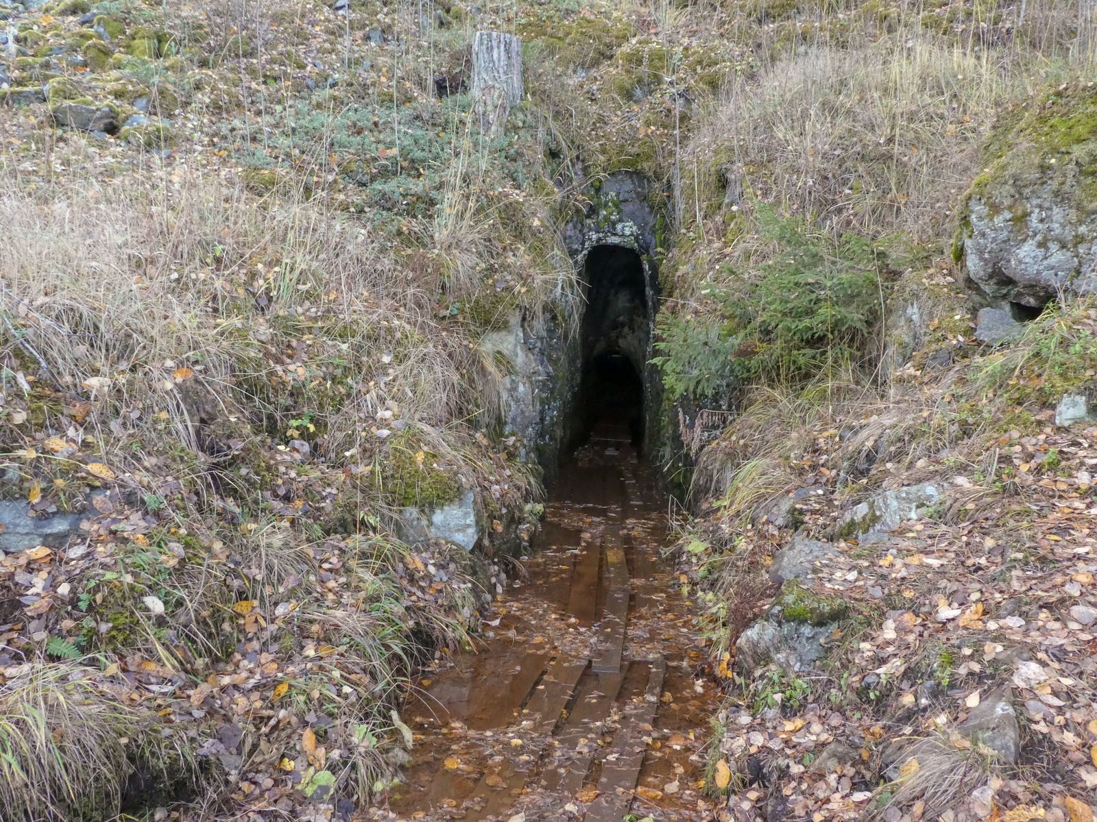 P1160263.jpg